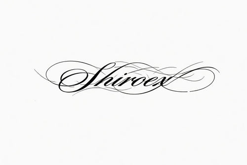 shiroex